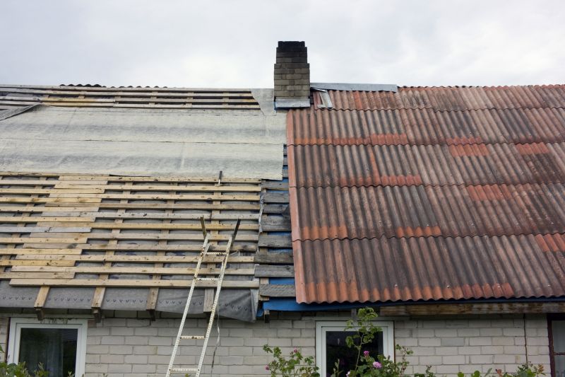 Shed Roof Repair in Kansas City, KS